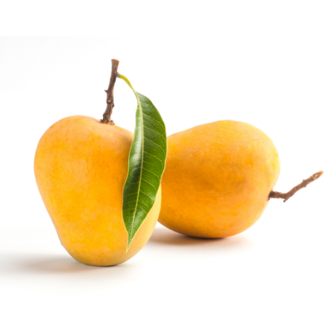 Alphonso Mangoes