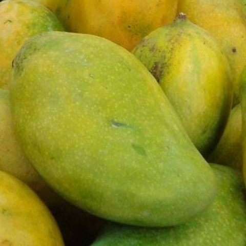 Langra Mangoes