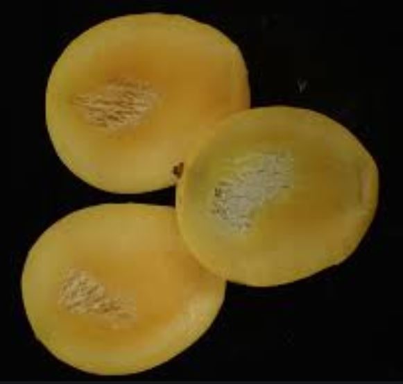Small portion of the fruit with Spongy tissue
